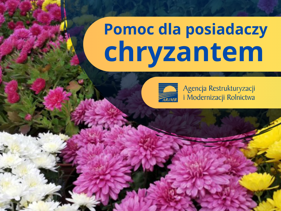 Chryzantemy pomoc arimr logo