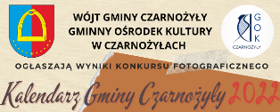 2021 11 12 wyniki konkurs kalendarz 2022 small