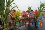 Dożynki gminne 2016