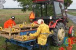 Dożynki gminno-parafialne w Czarnożyłach 2018 r.