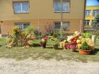 Dożynki parafialne w Gromadzicach_60