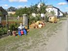 Dożynki parafialne w Gromadzicach_64