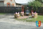 Dożynki Powiatowe 2014_108