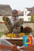 Dożynki Powiatowe 2014_188