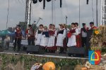 Dożynki Powiatowe 2014_258