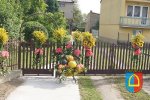 Dożynki Powiatowe 2014_37