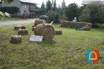 Dożynki Powiatowe 2014_4