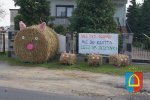 Dożynki Powiatowe 2014_86