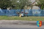 Dożynki Powiatowe 2014_91