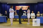 Narodowe Czytanie 