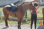 Niepodległościowy rajd konny w Czarnożyłach