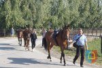 Niepodległościowy rajd konny w Czarnożyłach