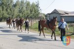 Niepodległościowy rajd konny w Czarnożyłach