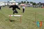 Zawody OSP 2016