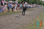 Zawody sportowo-pożarnicze w Ostrówku 2017