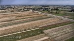 Staw z lotu ptaka 2016 r._18